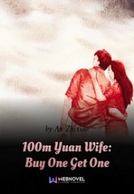 100m Yuan Wife: Buy One Get One - Official Chinese Web Novel Cover By Author 'An Zhixiao, Calm Understanding, 安知晓'