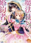Fiancée Of The Wizard - Official Japan Web Novel Cover By Author 'Nakamura Shuri ;中村朱里'