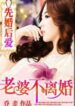 First Marriage, Then Love: Wife, Never Divorce - Official Chinese Web Novel Cover By Author 'Joe Mai'