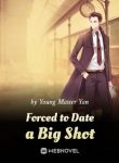 Forced To Date A Big Shot - Official Chinese Novel Cover By Author 'Young Master Yan'
