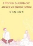 Hidden Marriage: A Heaven-sent Billionaire Husband - Official Chinese Web Novel Cover By Author 'Su Su Su Ru Yi'