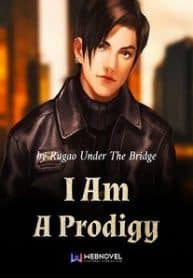 I Am A Prodigy - Official Chinese Web Novel Cover By Author 'Rugao Under The Bridge'