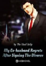 My Ex-husband Regrets After Signing The Divorce - Official Chinese Web Novel Cover By Author 'The Ideal Belly'