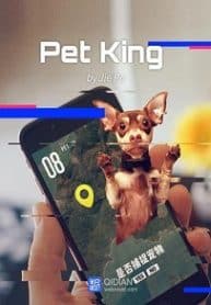 Pet King - Official Chinese Web Novel Cover By Author 'Jie Po'