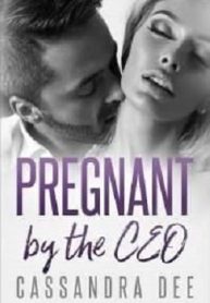 Pregnant With Ceo’s Baby - Official Chinese Webnovel Cover By Author 'Unopen Mind'