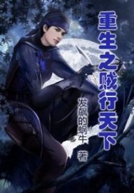 Rebirth Of The Thief Who Roamed The World - Official Chinese Novel Cover By Author 'Mad Snail ;发飙的蜗牛'