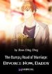 The Bumpy Road Of Marriage: Divorce Now, Daddy - Official Chinese Web Novel Cover By Author 'Bean Ding Ding'