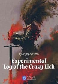 The Experimental Log Of The Crazy Lich - Official Chinese Web Novel Cover By Author 'Angry Squirrel'