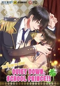 The Heir Is Here: Quiet Down, School Prince - Official Chinese Web Novel Cover By Author 'An Xiangnuan'