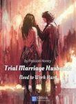 Trial Marriage Husband: Need To Work Hard - Official Chinese Novel Cover By Author 'Passion Honey, 百香蜜'