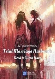 Trial Marriage Husband: Need To Work Hard - Official Chinese Novel Cover By Author 'Passion Honey, 百香蜜'