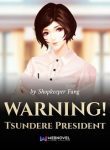 Warning! Tsundere President - Official Chinese Web Novel Cover By Author 'Shopkeeper Fang'