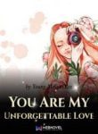 You Are My Unforgettable Love - Official Chinese Web Novel Cover By Author 'Young Master Yan'