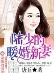 Young Master Lu’s Lovely New Bride - Official Chinese Web Novel Cover By Author 'Tang Yu; 唐玉'