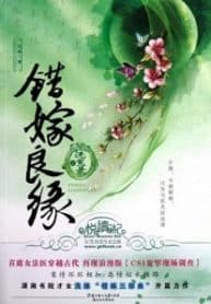 A Mistaken Marriage Match: Record Of Washed Grievances - Official Chinese Web Novel Cover By Author 'Qian Lu, 浅绿'