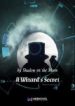 A Wizard’s Secret - Official Chinese Web Novel Cover By Author 'Shadow On The Moon'