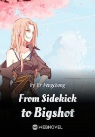 From Sidekick To Bigshot - Official Chinese Webnovel Cover By Author 'Er Fengchong'