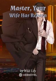 Master Xiao, Your Wife Has Reborn - Official Chinese Webnovel Cover By Author 'Wild Lily'