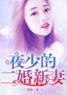 Master Ye’s Second Marriage - Official Chinese Webnovel Cover By Author '时妩'