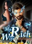 My Rich Wife - Official Chinese Webnovel Cover By Author 'Taibai And A Qin'