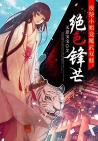 Stunning Edge - Official Chinese Web Novel Cover By Author 'Wú Yì Bǎo Bao, 无意宝宝'