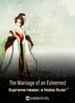 The Marriage Of An Esteemed Supreme Healer, A Noble Ruler - Official Chinese Webnovel Cover By Author 'War Nishino, 战西野'