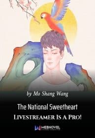 The National Sweetheart Livestreamer Is A Pro! - Official Chinese Web Novel Cover By Author 'Mo Shang Wang'